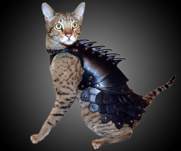 Feline Battle Costumes