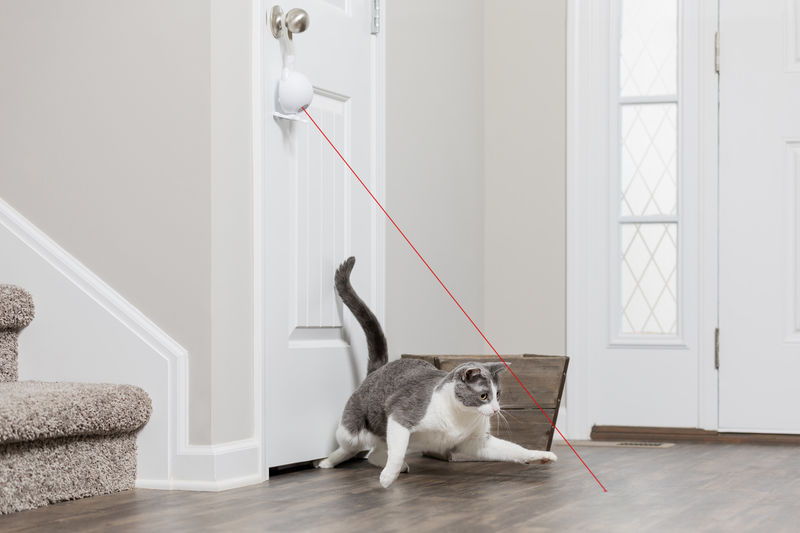 New SereneLife SLCTLA40 Automatic Cat Laser Toy