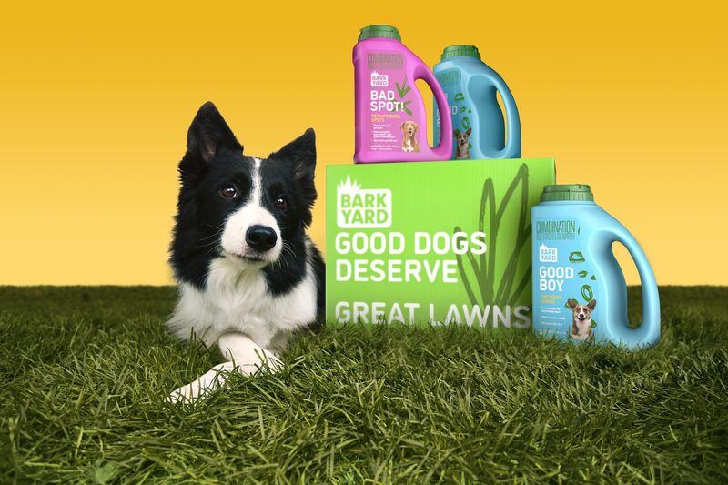 Pet-Friendly Lawn Kits : lawn care for dog owners