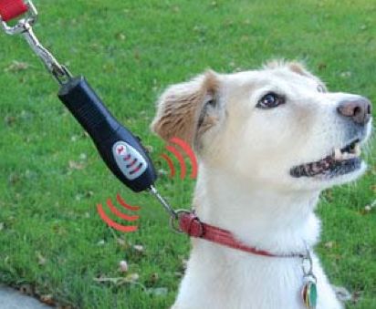 wireless dog leashes