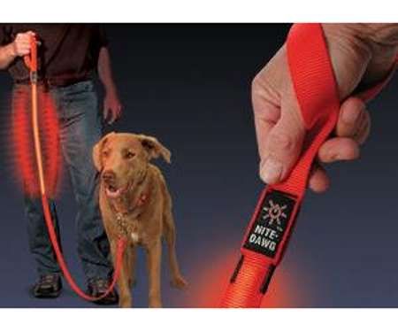 LED Pet Controls