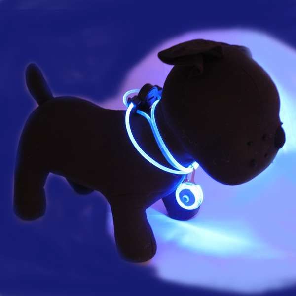 Light-Up Pet Protection