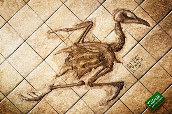 Fossilized Food Campaigns