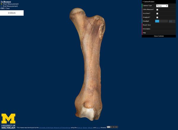 Online 3D Fossil Collections