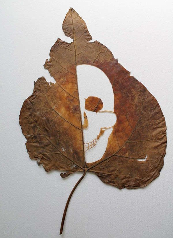 Cut-Away Leaf Artworks