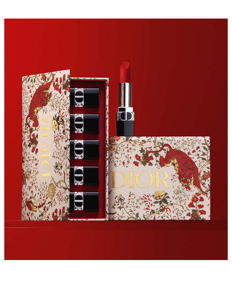  Limtied Edition Dior rouge lipstick  case gift set Christmas Beauty   Personal Care Face Makeup on Carousell