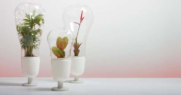 Light Bulb Planters