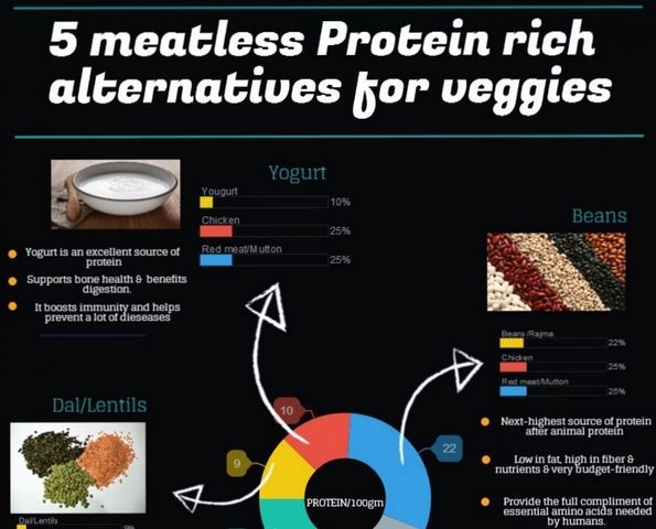 Meatless Protein Infographics