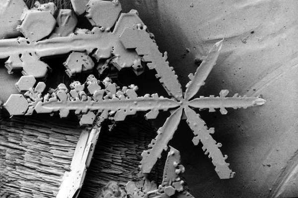 Microscopic Snowflakes