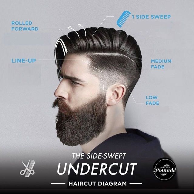 Modern Haircut Diagrams