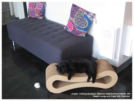 Modern Pet Furniture