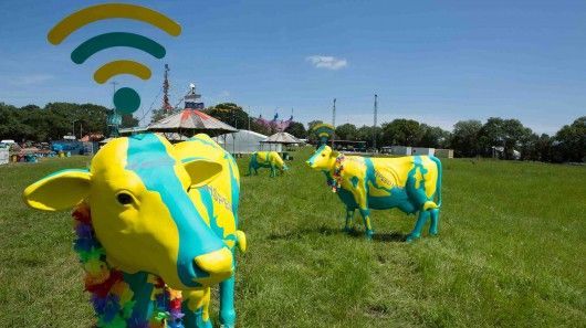 Bovine WiFi Statues