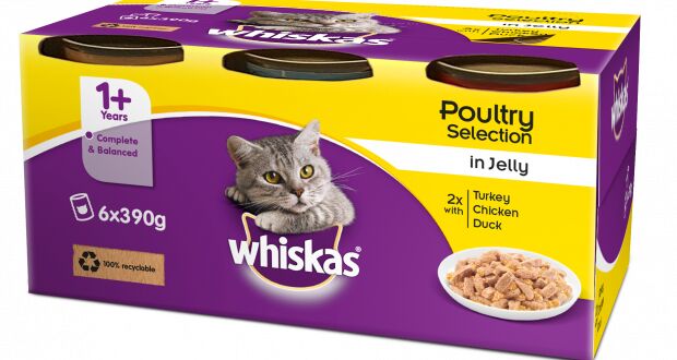 plastic free cat food