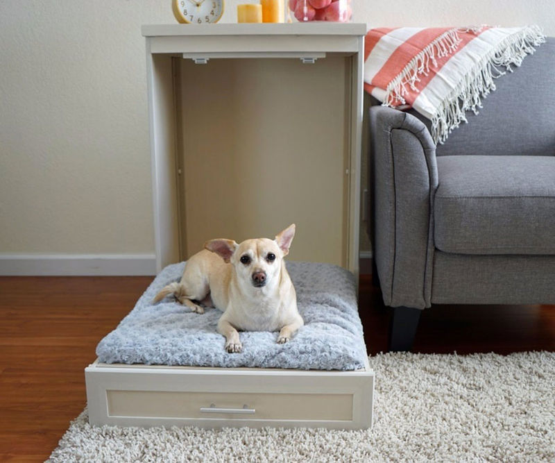 dog bed on bed