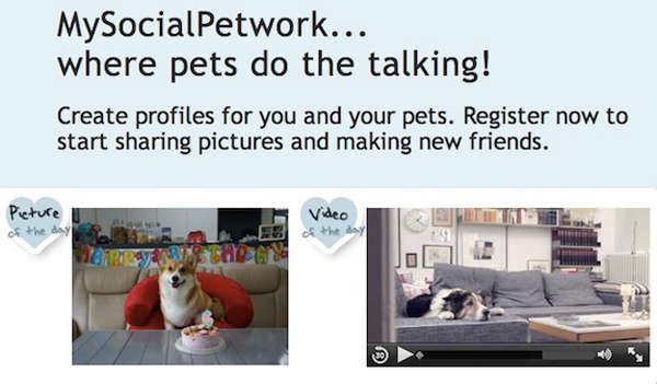 Paw-Friendly Networking Sites