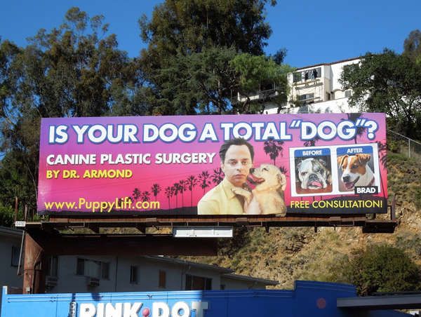 Puppy Plastic Surgery Ads