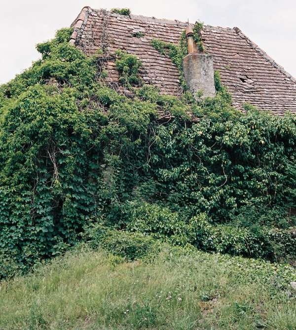 Abandoned Shelter Scenery