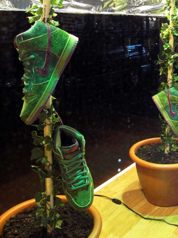 Earth Day Kick Displays Nike SB Dunk Skunks