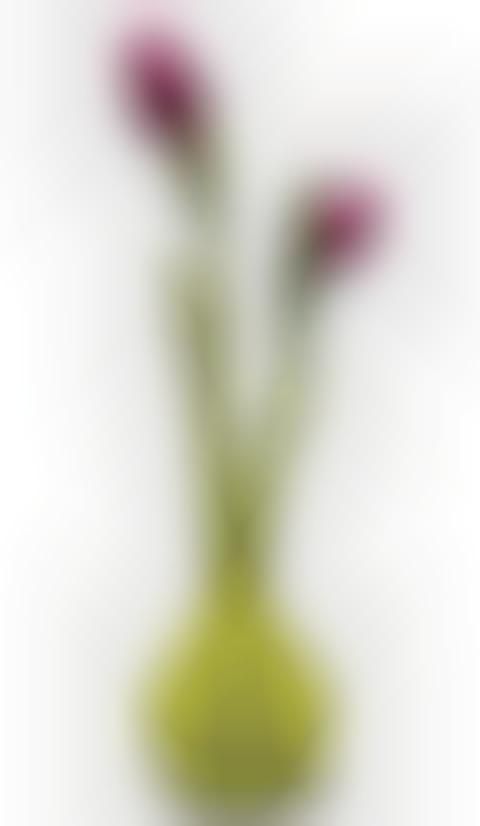 Allium-Inspired Flower-Holders