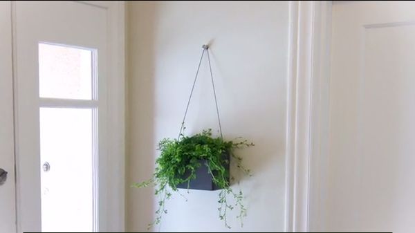 Minimalist Indoor Garden Kits