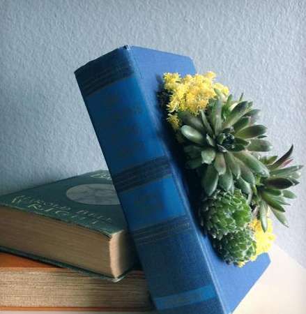 Deceptive Book Planters