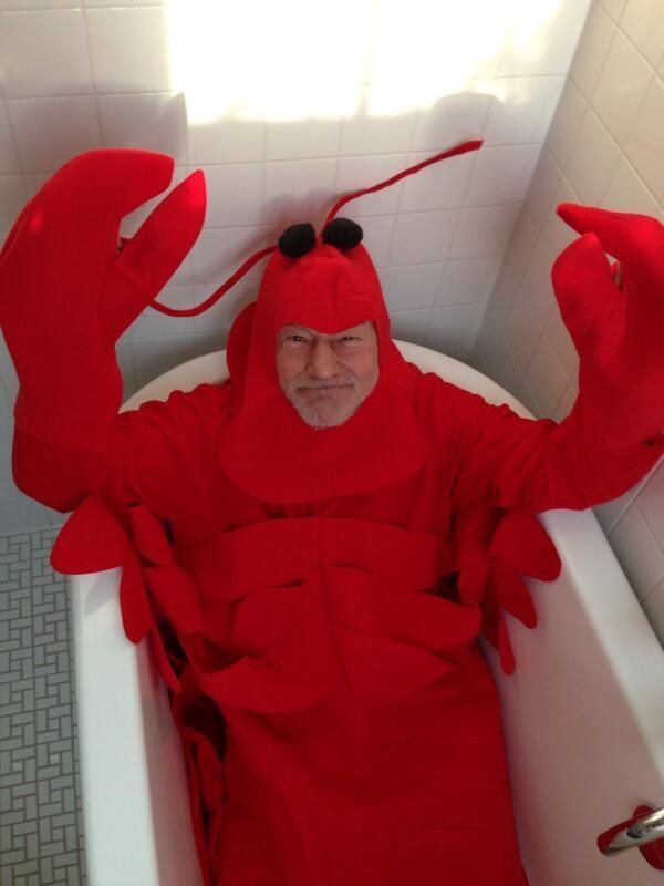 Hilarious Celebrity Seafood Costumes
