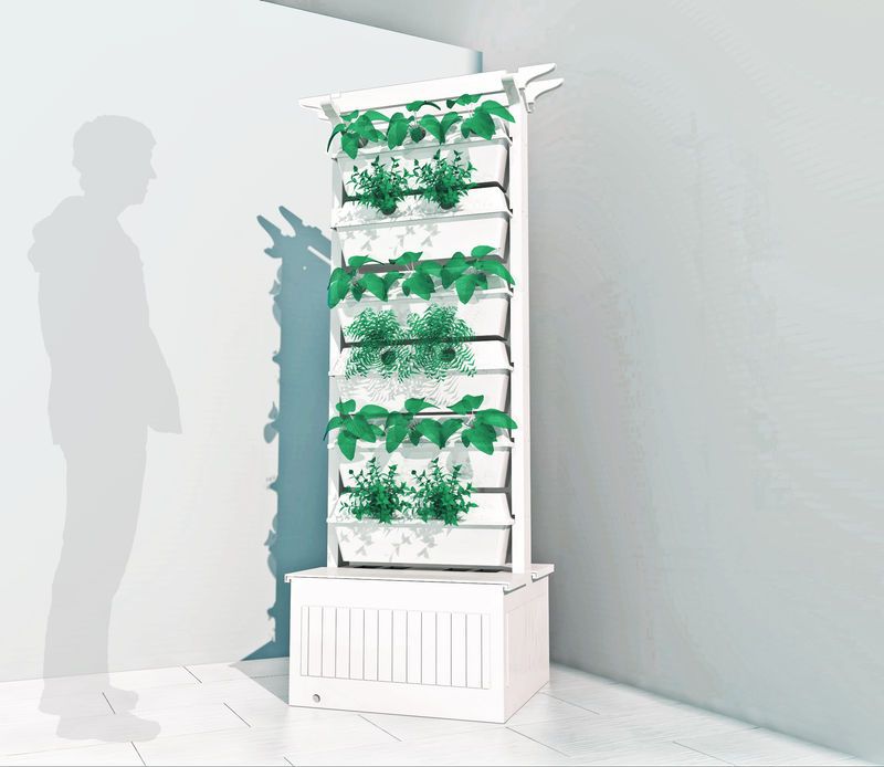 Hydroponic Home Gardens