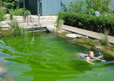 Personal Swimming Ponds