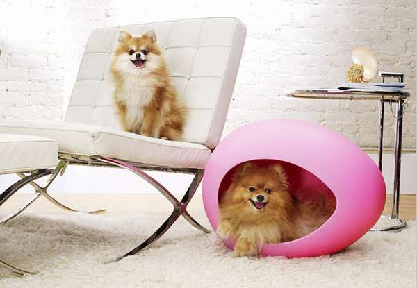 Egg-Shaped Pet Beds