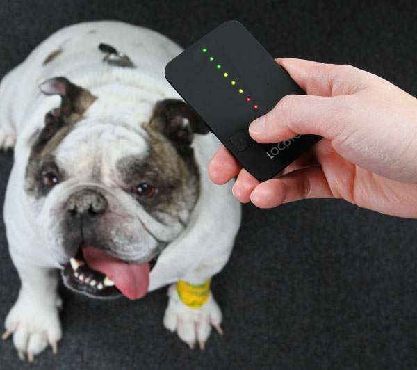 Pet-Tracking Gadgets