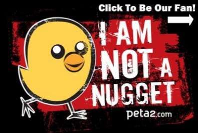 Peta2 on Facebook