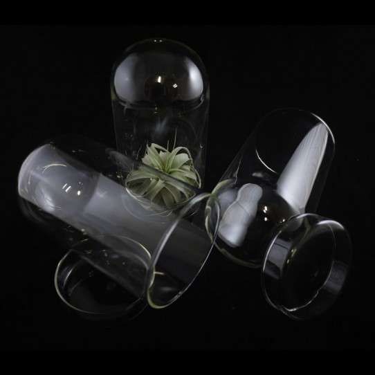 Glass Plant Pods