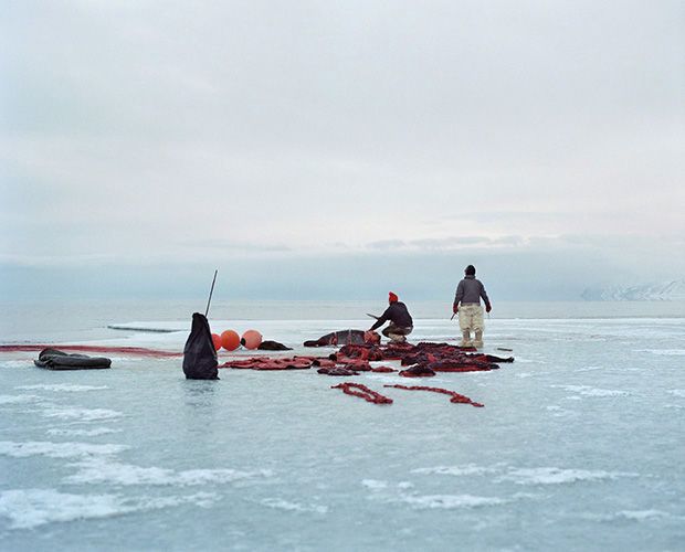 Transitional Greenland Photography