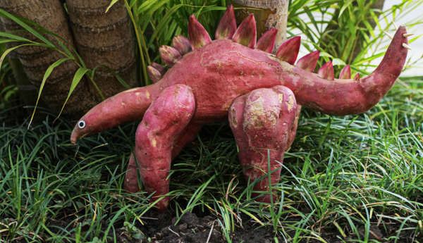 Edible Creature Sculptures