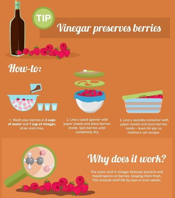 Food Preservation Infographics