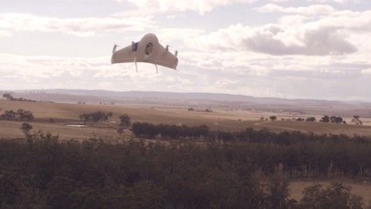 Autonomous Delivery Drones