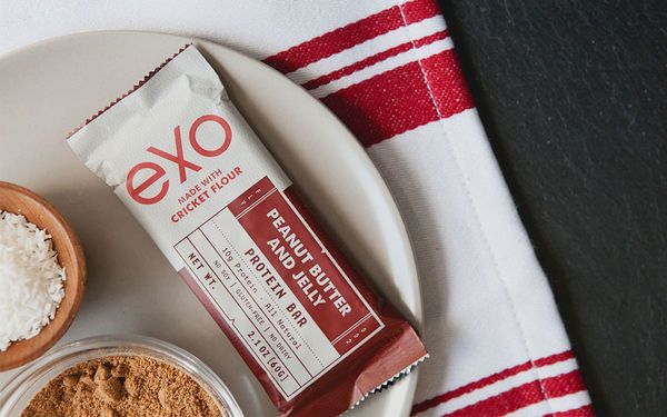 Cricket Flour Protein Bars