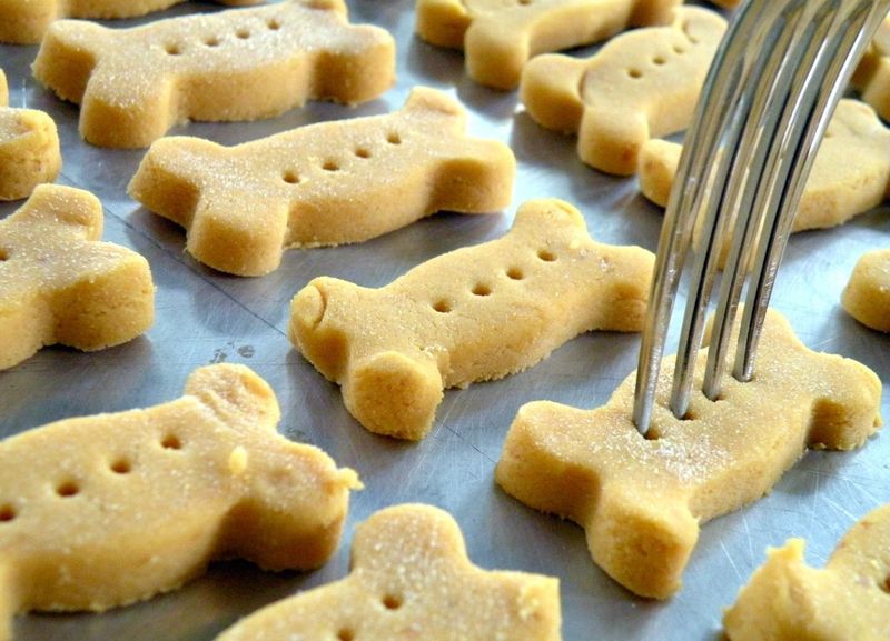 DIY Pumpkin Puppy Treats