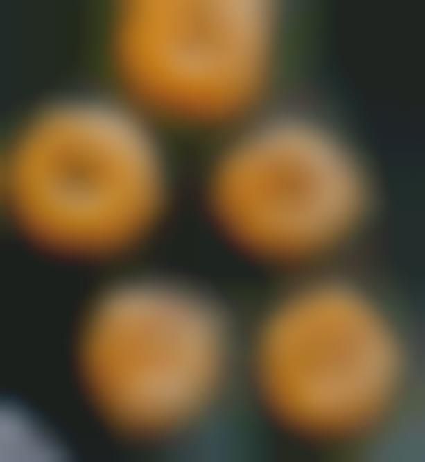 Pureed Pumpkin Donuts