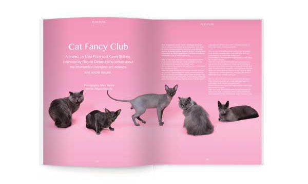 Cat-Themed Magazines