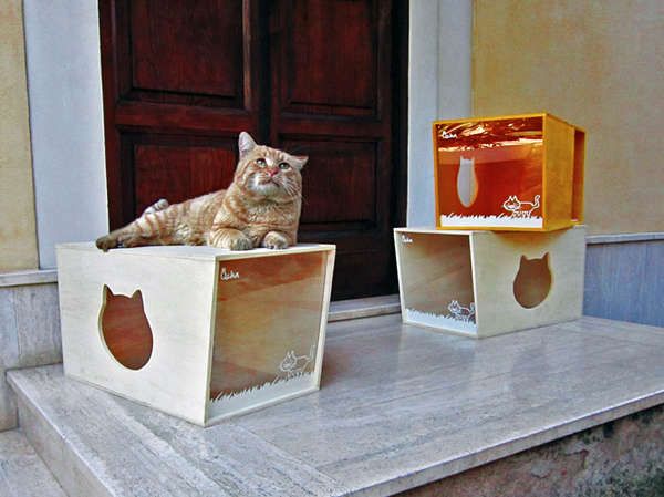 Modular Kitty Boxes