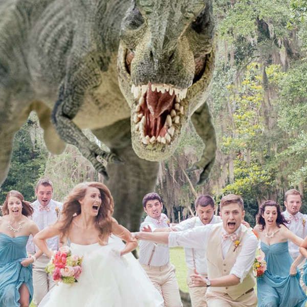 Dinosaur Massacre Wedding Photography