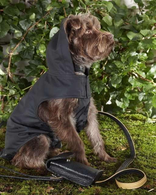 Dog house coat best sale