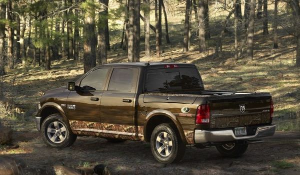 Camouflage-Clad Pickup Trucks