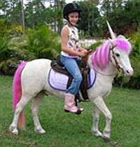 Real Life My Little Pony