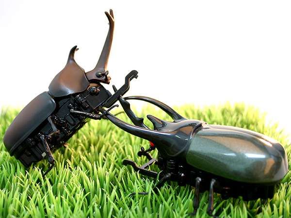 Remote Control Creepy Crawlers