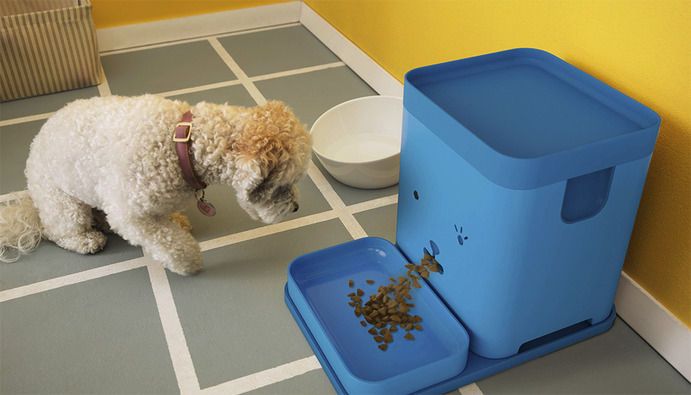 Communicative Pet Feeders