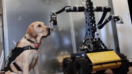 Smart Rescue Dog Harnesses