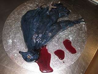 Dead Bird Baking