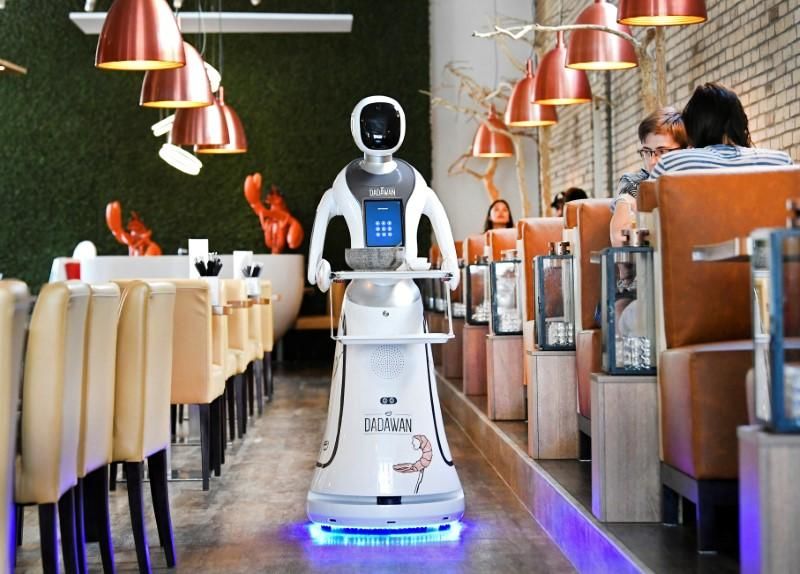 Humanoid Robot Servers robot servers